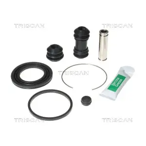 8170 202013 TRISCAN