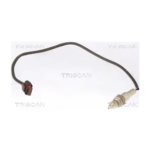 8845 16093 TRISCAN