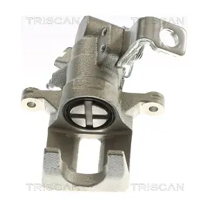 TRISCAN 8175 40218