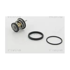 8620 31795 TRISCAN