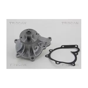 8600 60110 TRISCAN