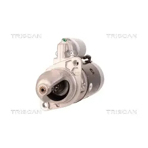 TRISCAN 8305 29055