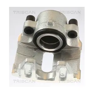 TRISCAN 8175 27101