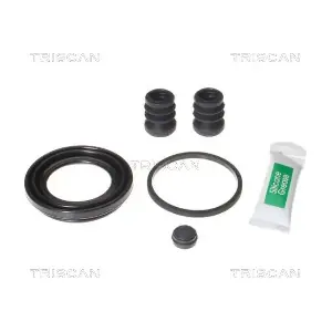 8170 205209 TRISCAN