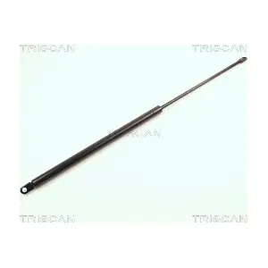 8710 1507 TRISCAN