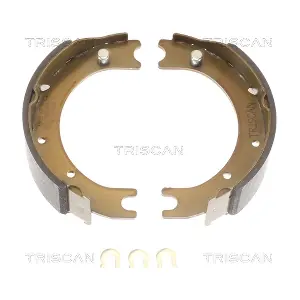 810013036 TRISCAN