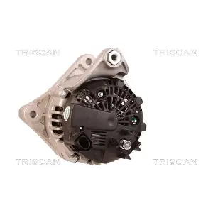 8310 10098 TRISCAN