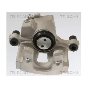8175 25202 TRISCAN