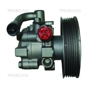 851518608 TRISCAN