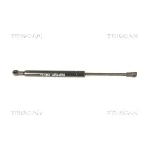 8710 29288 TRISCAN