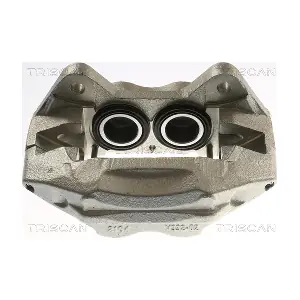 8175 13136 TRISCAN