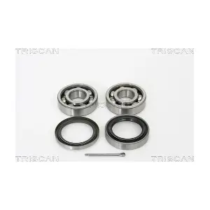 8530 41107 TRISCAN