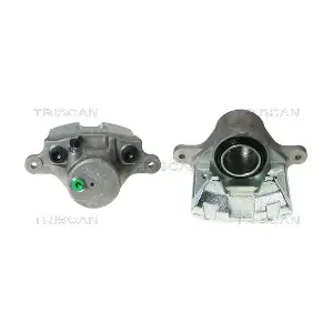 TRISCAN 8170345060