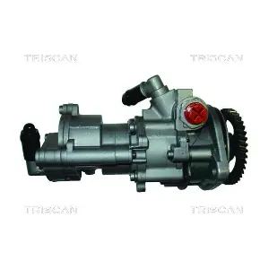 8515 29668 TRISCAN