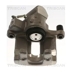 TRISCAN 8175 24250