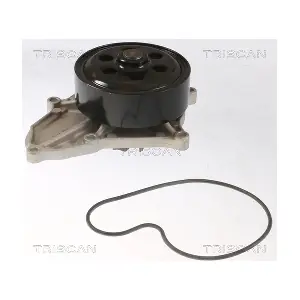 860040018 TRISCAN