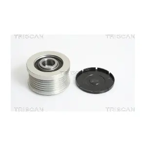 TRISCAN 8641154004