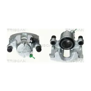 TRISCAN 8170341736