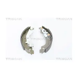 TRISCAN 8100 15018