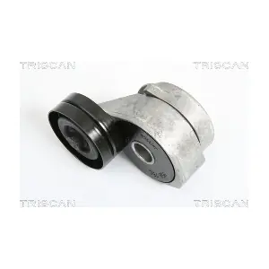 TRISCAN 8641173001