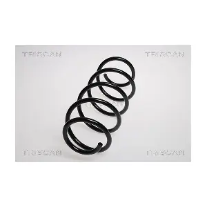 8750 29213 TRISCAN