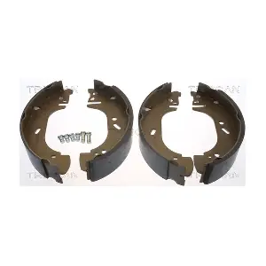 TRISCAN 810010002