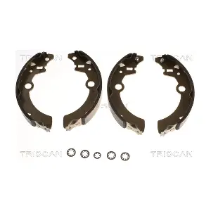 810069001 TRISCAN