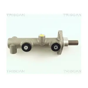 TRISCAN 813029105