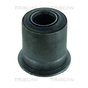 TRISCAN 850013824