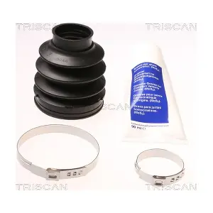 8540 23807 TRISCAN