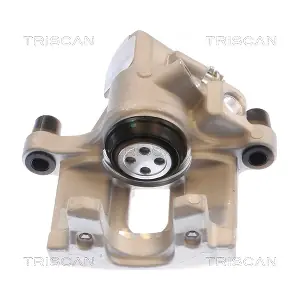 8175 50211 TRISCAN