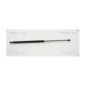 8710 15106 TRISCAN