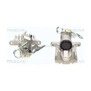 TRISCAN 8170 342870