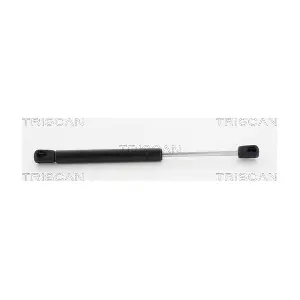 871080102 TRISCAN