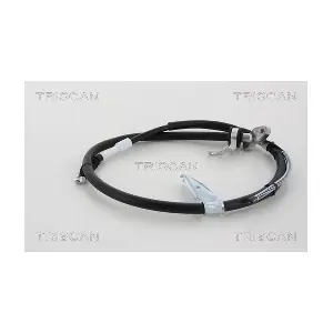 8140.131161 TRISCAN