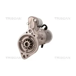 8305 13021 TRISCAN