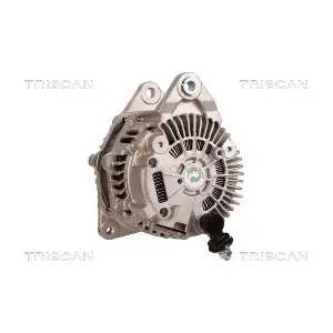 TRISCAN 8310 10038