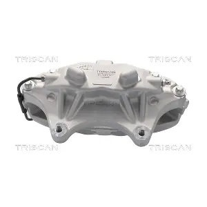 8175 81101 TRISCAN