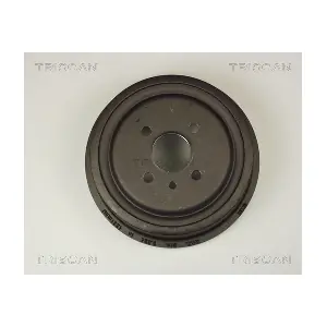 8120 24204 TRISCAN