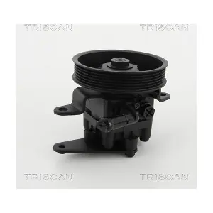 8515 14621 TRISCAN