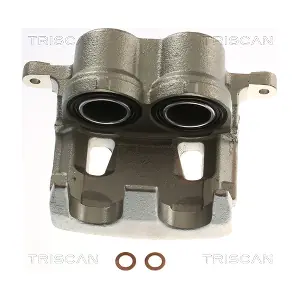 8175 13141 TRISCAN