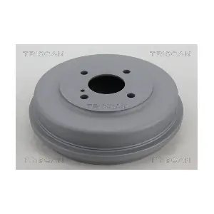 8120 16231 TRISCAN