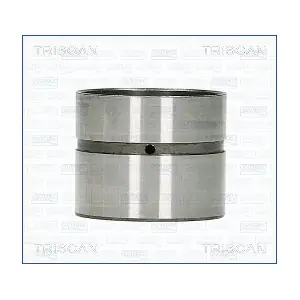 TRISCAN 80-24002