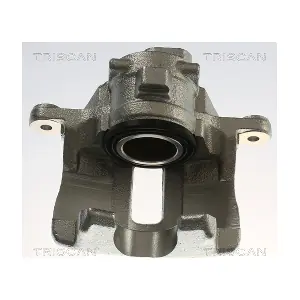 TRISCAN 8175 17208