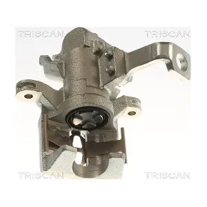 8175 40213 TRISCAN