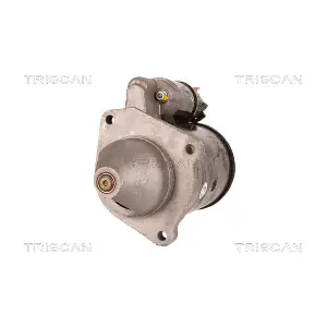 TRISCAN 8305 10101
