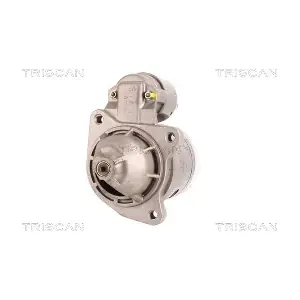 TRISCAN 8305 10072