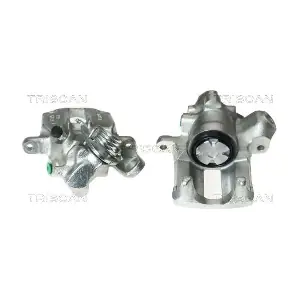 TRISCAN 8170342060