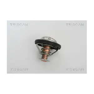 TRISCAN 8620 21791