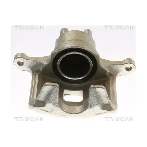 8175 10136 TRISCAN